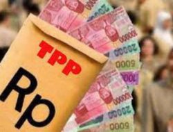 TPP dan Wajah Kesejahteraan ASN di Daerah: Mengapa Bireuen Masih Tertinggal?