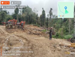 Dugaan Ilegal Logging Sultan Daulat — Kayu Ditemukan di Lokasi Belum Dikrosing, Barkot Diduga Keluar Ilegal