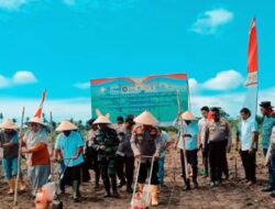 PTPN IV Regional VI Bersama Polres Langsa Tanam Jagung 