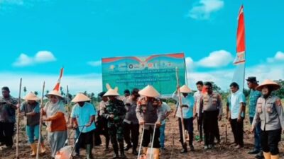 PTPN IV Regional VI Bersama Polres Langsa Tanam Jagung 