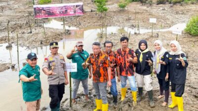 Rangkaian HUT PP ke-66, MPC Pemuda Pancasila Kota Langsa Tanam Bibit Mangrove  ‎