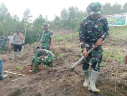 TNI dan Warga Bersatu Tanam Ratusan Pohon di Kecamatan Bintang