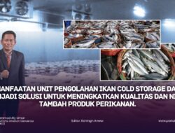 Menggapai Indonesia Emas: PADI Perkuat Sektor Perikanan Melalui Investasi Cold Storage