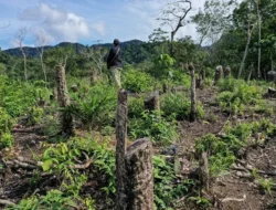 Bareskrim Polri Bidik Pelaku Pembalakan Liar Penyebab Banjir Bandang dan Longsor Sumut, Korporasi Terancam Jerat TPPU