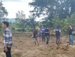 Polres Toba Tindak Lanjuti Aduan Masyarakat Terkait Adanya Penebangan Kayu di Kawasan Hutan, Ini Hasilnya.!.