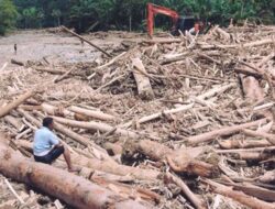 Bareskrim Polri Naikkan Status Kasus Banjir Bandang Sumatera ke Penyidikan : Ekskavator Ditemukan di Hulu Sungai
