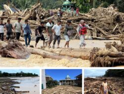Penampakan Kayu Gelondongan yang Hanyut bersama Banjir Bandang di Sumatra