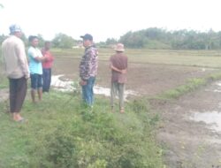 Koramil 11/Bandar Baru Kodim 0102/Pidie Laksanakan Komsos Pasca Banjir di Desa Blang Iboh