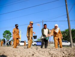 Bupati Deli Serdang Dorong Pembangunan Greenhouse Demi Jaga Stabilitas Harga