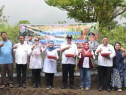 Bupati Deli Serdang bersama Poktan Ulih Latih Sampaikan Program Penting Panen Cabai Perdana di Sibolangit dengan Ketua TP PKK Deli Serdang