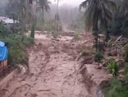 Menimbang Sawit dan Tambang dalam Narasi Banjir Bandang