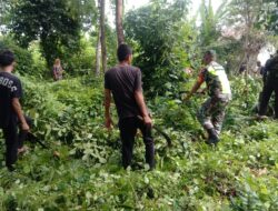 Babinsa Koramil 11/Bandar Baru Kodim 0102/Pidie Laksanakan Gotong Royong dengan Masyarakat Desa Paru Cot