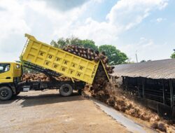 Holding Perkebunan Nusantara Perkuat Kemitraan Petani, PalmCo Catat Serapan 3,25 Juta Ton TBS Sepanjang 2025
