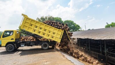 Holding Perkebunan Nusantara Perkuat Kemitraan Petani, PalmCo Catat Serapan 3,25 Juta Ton TBS Sepanjang 2025