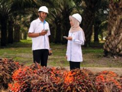 Kelola Kebun Sawit PTPN Group Skala Luas, PalmCo Catat 23,3 Juta Jam Kerja Aman Zero Accident