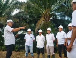 Lewat PalmCo, Holding Perkebunan Nusantara Wujudkan Social Sustainability di Industri Sawit