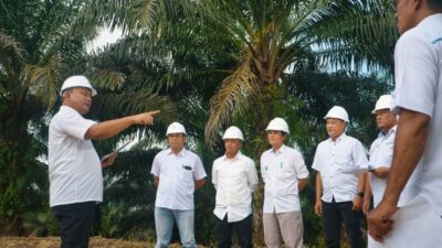 Lewat PalmCo, Holding Perkebunan Nusantara Wujudkan Social Sustainability di Industri Sawit