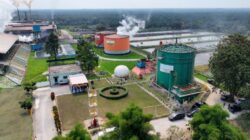 ROA PalmCo Tembus 7,9 Persen, Sinyal Penguatan Kinerja Aset Holding Perkebunan Nusantara