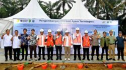 Holding Perkebunan Nusantara Melalui PTPN IV Regional V Dukung Program Pengembangan Hilirisasi Industri Ayam di Kalimantan Timur