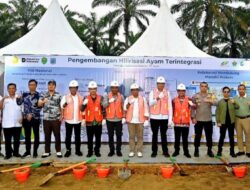 Holding Perkebunan Nusantara Melalui PTPN IV Regional V Dukung Program Pengembangan Hilirisasi Industri Ayam di Kalimantan Timur