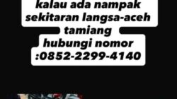 Ditinggal Salat Jumat, Honda Vario 125 Milik Warga Raib di Halaman Masjid