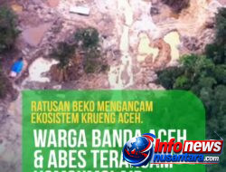 Tambang Emas Ilegal di Aceh Resahkan Warga, Sungai Tercemar hingga Wisata Lumpuh