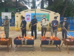 Bea Cukai Langsa Musnahkan 545.452 Batang Rokok Ilegal