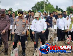 Dukung Ketahanan Pangan, Holding Perkebunan Nusantara Lewat PalmCo Perkuat Kemitraan Petani di Jambi