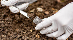 Penanganan Dugaan Pencemaran Lingkungan oleh Pihak Perusahaan PT. Universal Gloves di Patumbak-Deli Serdang Terus Menuai Sorotan Tajam dari Ombudsman RI Perwakilan Provinsi Sumut