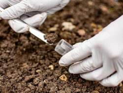 Penanganan Dugaan Pencemaran Lingkungan oleh Pihak Perusahaan PT. Universal Gloves di Patumbak-Deli Serdang Terus Menuai Sorotan Tajam dari Ombudsman RI Perwakilan Provinsi Sumut