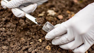 Penanganan Dugaan Pencemaran Lingkungan oleh Pihak Perusahaan PT. Universal Gloves di Patumbak-Deli Serdang Terus Menuai Sorotan Tajam dari Ombudsman RI Perwakilan Provinsi Sumut