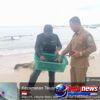 Awal Terobosan Ekonomi Biru, DKP Simeulue Laksanakan Penanaman Perdana Rumput Laut di Teupah Selatan