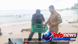 Awal Terobosan Ekonomi Biru, DKP Simeulue Laksanakan Penanaman Perdana Rumput Laut di Teupah Selatan