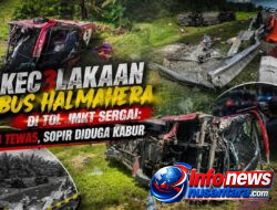Kecelakaan Maut Bus Halmahera di Tol JMKT Sergai: 4 Tewas, Sopir Diduga Kabur