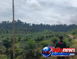 Surat Bupati Bernomor 500/1752/2024 Tentang Penghentian Sementara Aktivitas PT. Raja Marga,Satgas PKH Diminta Turun Gunung.