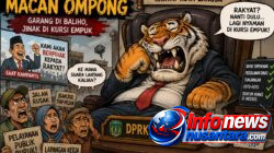 DPRK Langsa Ibarat Macan Ompong: Garang di Baliho, Jinak di Kursi Empuk
