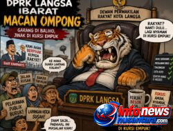 DPRK Langsa Ibarat Macan Ompong: Garang di Baliho, Jinak di Kursi Empuk
