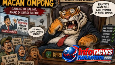 DPRK Langsa Ibarat Macan Ompong: Garang di Baliho, Jinak di Kursi Empuk