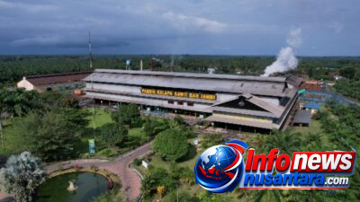 Melalui PalmCo, Holding Perkebunan Nusantara Perluas Akses Digital bagi Sekolah di Pelosok