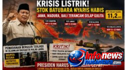 Warning! Stok Batubara untuk PLTU Nyaris Habis, Jawa, Madura, Bali Terancam Gelap Gulita