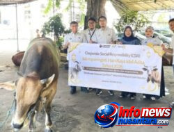 Holding Perkebunan Nusantara Tebar Manfaat Idul Adha, KPBN Salurkan Hewan Kurban untuk Masyarakat