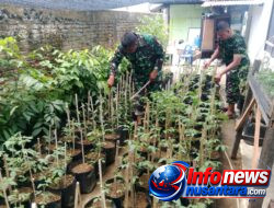 TMMD Ke-129 Kodim 0102/Pidie Mulai Garap Demplot Sayuran, Edukasi Warga Manfaatkan Lahan Kosong