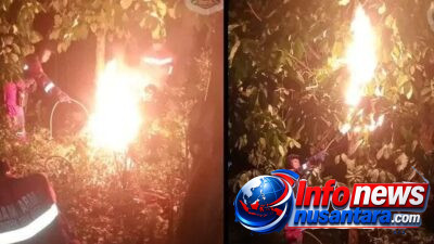Team Rescue C Dinas Damkarmat Deli Serdang Tangani Tiga Operasi Darurat Non-Kebakaran di Dua Kecamatan