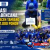 Mitigasi Pascabencana, Bupati Aceh Tamiang Tanam 1.000 Pohon Bambu di Bantaran Sungai