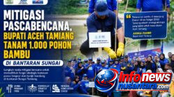 Mitigasi Pascabencana, Bupati Aceh Tamiang Tanam 1.000 Pohon Bambu di Bantaran Sungai