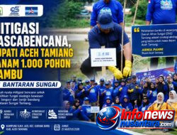 Mitigasi Pascabencana, Bupati Aceh Tamiang Tanam 1.000 Pohon Bambu di Bantaran Sungai