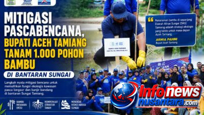 Mitigasi Pascabencana, Bupati Aceh Tamiang Tanam 1.000 Pohon Bambu di Bantaran Sungai