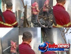 Dinas Damkarmat Deli Serdang Bergerak Cepat Padamkan Api Rumah Warga Terbakar di Tanjung Morawa, 1 Warga Dievakuasi