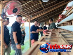 Dukung Ketahanan Pangan dan Pemberdayaan Warga Binaan, Kakanwil Ditjenpas Aceh Tinjau Layanan Dapur Hingga Panen Telur di Lapas Kota Bakti