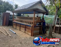 Lima Unit Kandang Ayam Petelur dan Kolam Lele TMMD ke-129 Rampung 100 Persen, Siap Dukung Kemandirian Pangan Warga